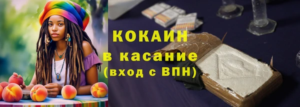 spice Пересвет
