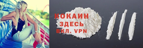дмт Переславль-Залесский