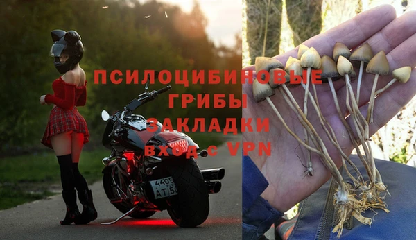 мяу мяу мука Пестово