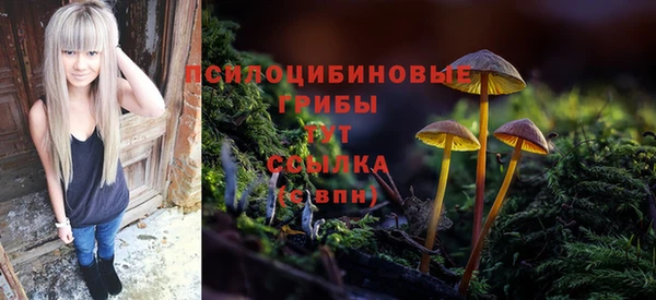 spice Пересвет