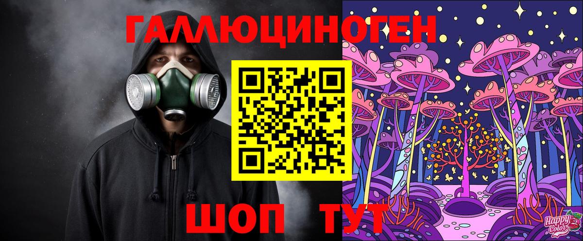 Галлюциногенные грибы Psilocybe Тара
